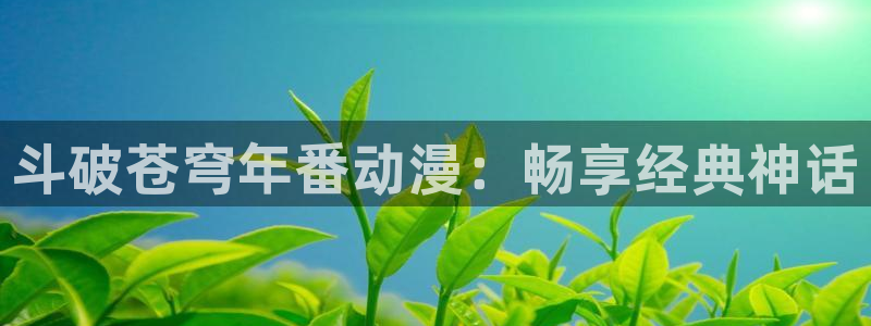 囧次元下载最新版本