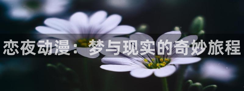 囧次元纯净版正版官网入口