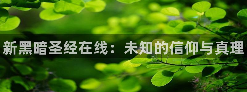 囧次元官方网页入口