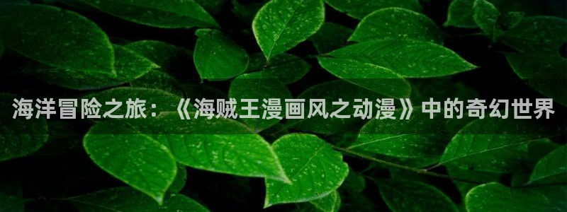 囧次元app正版下载链接