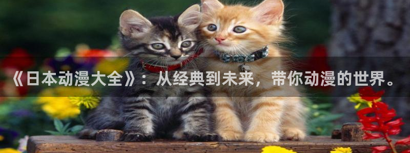 囧次元官方正版app下载