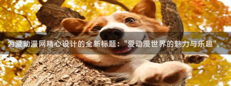 囧次元 官网