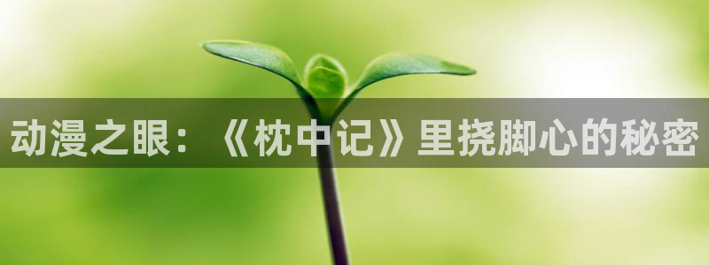 囧次元app官方下载入口