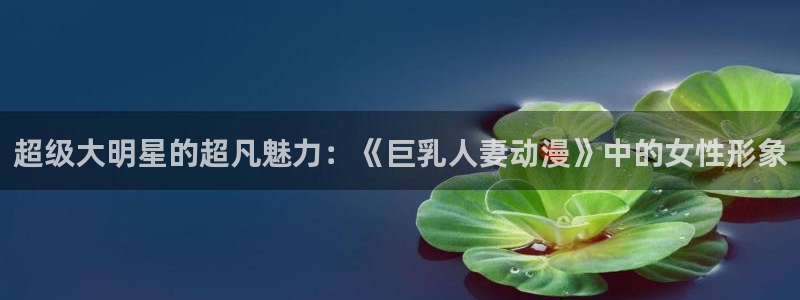 囧次元动漫官方正版