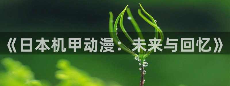 囧次元1