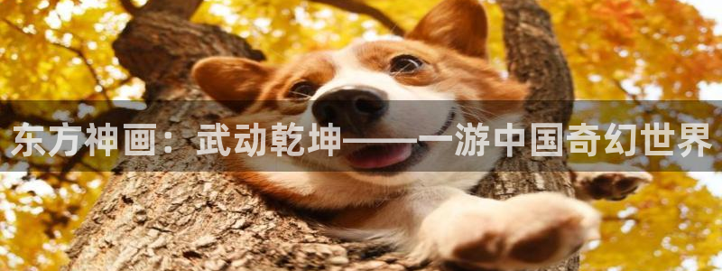 囧次元官方网页版入口