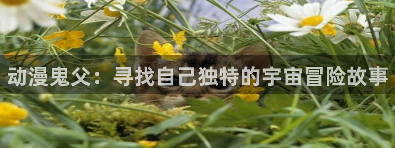 囧次元.