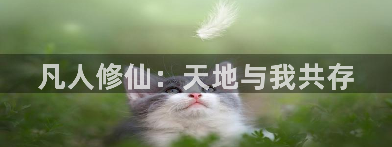 囧次元app官方正版