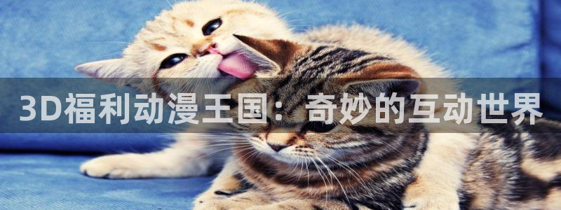 囧次元下载官方