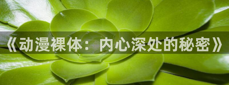 囧次元官方网站入口官网在线观看