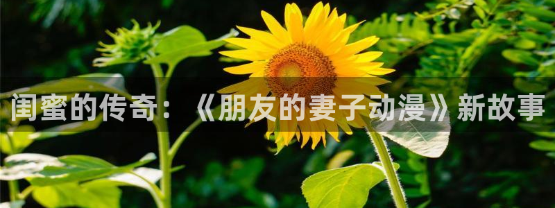 囧次元免费