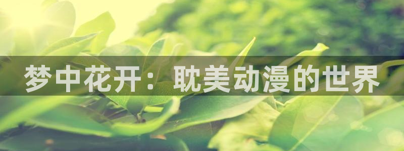 囧次元无