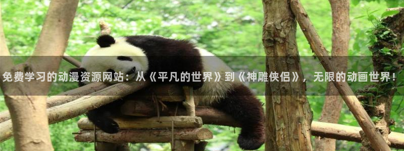 囧次元下载：免费学习的动漫资源网站：从《平凡的世界》到《神雕侠侣》，无限的动画世界！