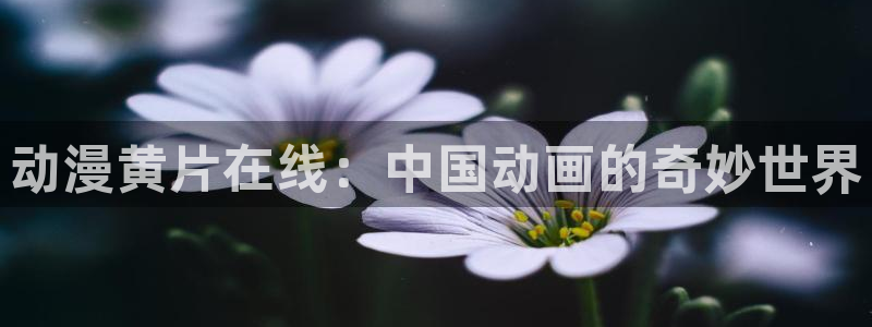 jcyapp囧次元官网入口：动漫黄片在线：中国动画的奇妙世界