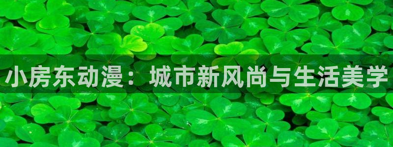 囧次元tv版：小房东动漫：城市新风尚与生活美学