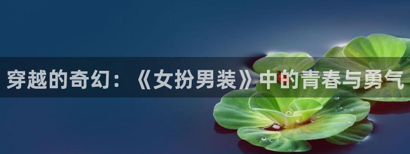 囧次元动漫官网下载