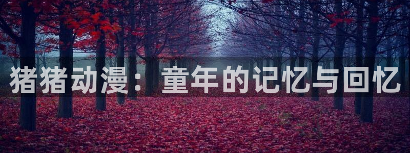 囧次元app下载官方正版