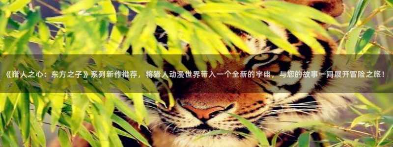 囧次元正版官网