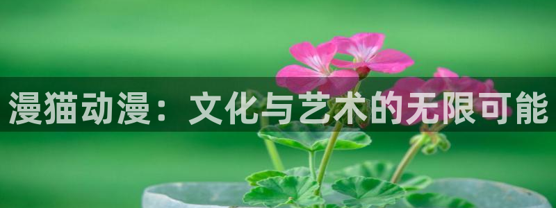 囧次元在线观看入口