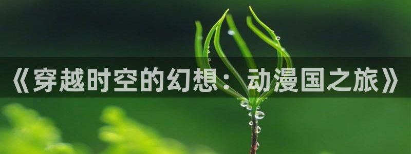 囧次元官网入口