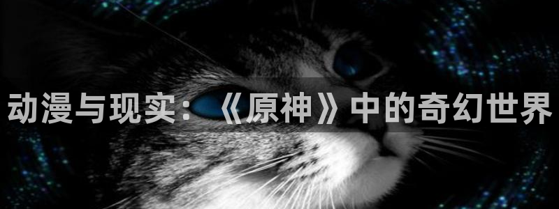 囧次元苹果版官方网站入口