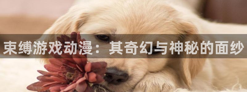 囧次元官方网站入口