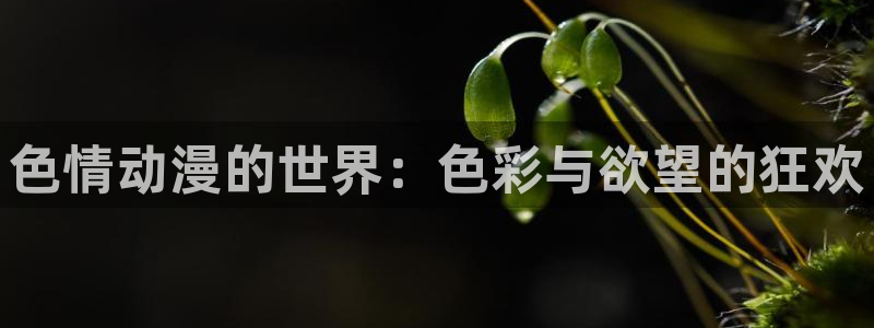 jcyapp囧次元官网入口