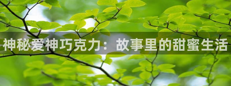 囧次元网站