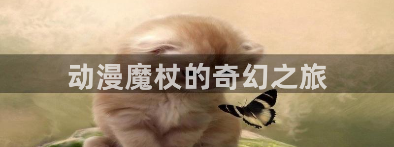 囧次元官网下载