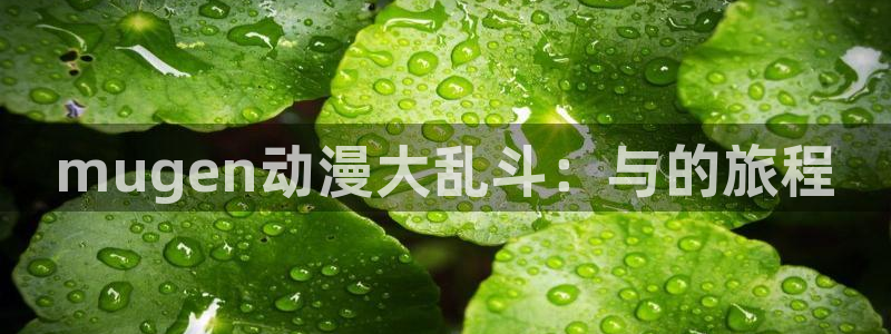 囧次元正版