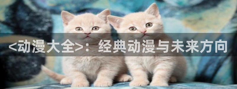 囧次元 翻译