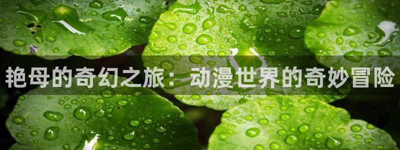 囧次元最新版官方正版