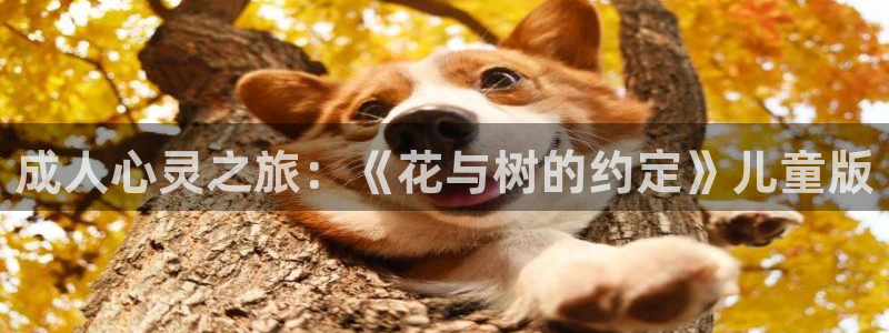 囧次元网页版入口网址