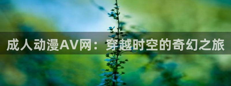 囧次元正版官网下载