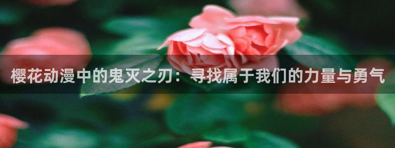 囧次元正版app下载