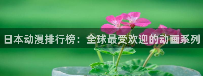 囧次元app正版下载链接
