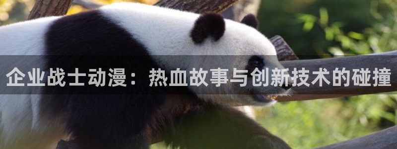 囧次元在线看