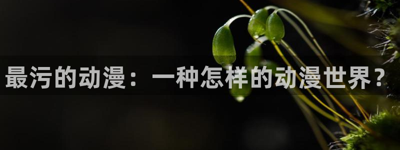 最新囧次元app下载
