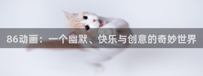 囧次元网页官网