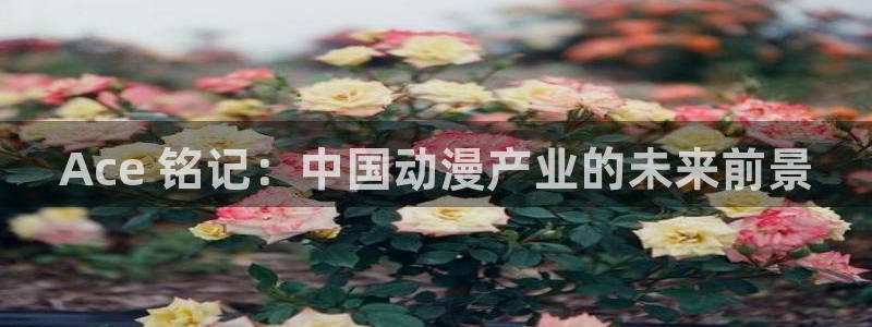 囧次元网站