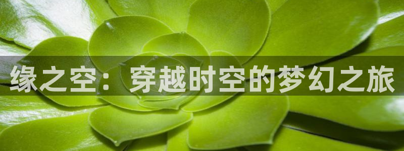 囧次元动漫app官网