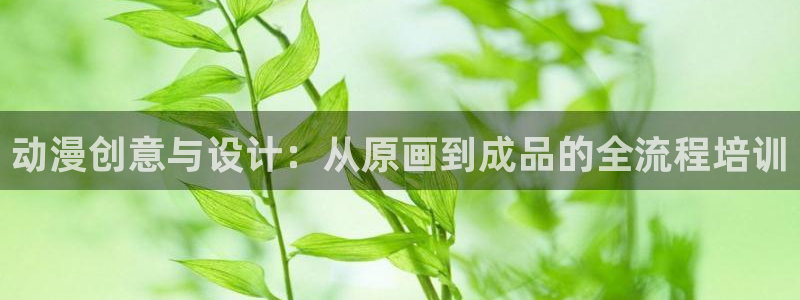 囧次元旧版