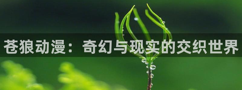 囧次元官网入口网址