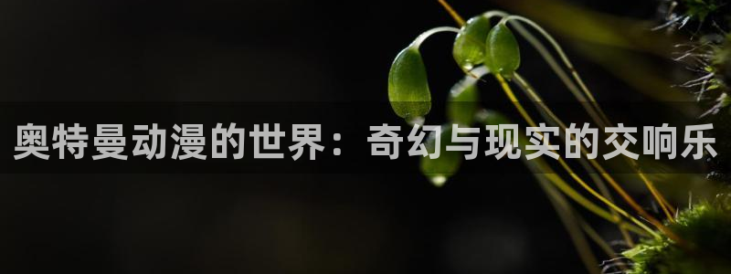 囧次元app官方正版