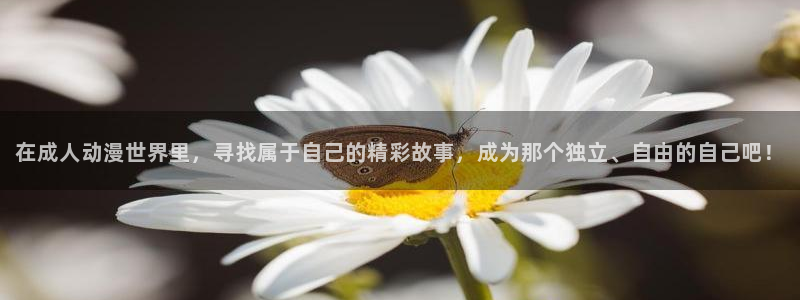 最新囧次元app下载