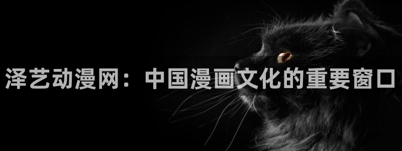 囧次元正版app
