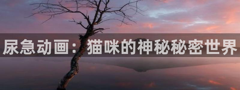 囧次元官方官网入口