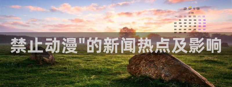 囧次元正版