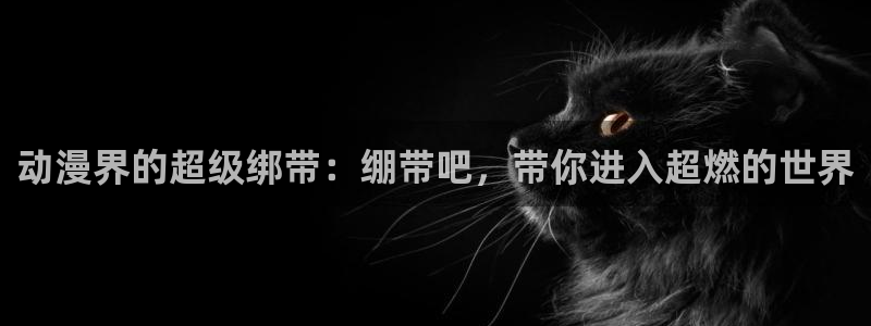 囧次元app下载动漫