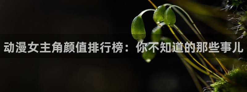 囧次元最新